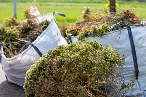 Best Furniture Removal Near Me  in Crystal, MN